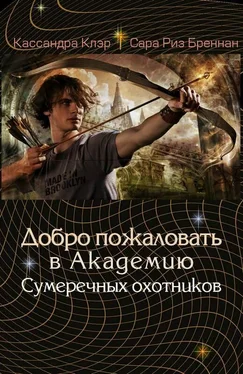 Кассандра Клэр Добро пожаловать в Академию сумеречных охотников обложка книги