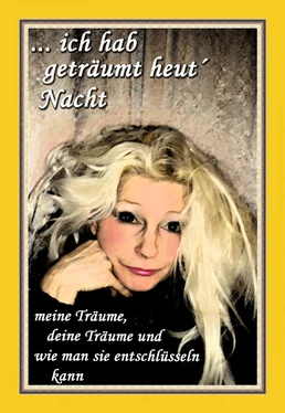 Ingrid Schinschek ... ich hab geträumt heut´ Nacht обложка книги