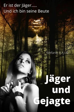 Stefanie P.A.I.N Jäger und Gejagte обложка книги