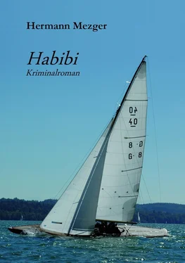 Hermann Mezger Habibi обложка книги