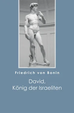 Friedrich von Bonin David, König der Israeliten обложка книги