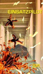 Ulrike Jonack - Einsatzpilot