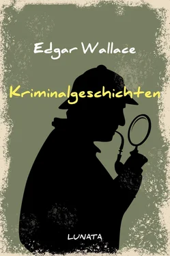 Edgar Wallace Kriminalgeschichten обложка книги