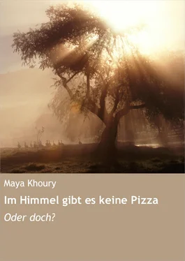 Maya Khoury Im Himmel gibt es keine Pizza обложка книги