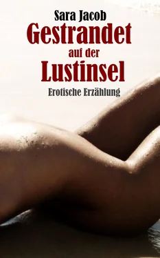 Sara Jacob Gestrandet auf der Lustinsel обложка книги