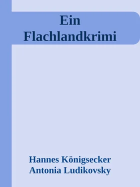 Hannes Königsecker Ein Flachlandkrimi обложка книги