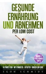 Egon Schmidt - low cost Food ! - werde schlank & gesund mit wenig Geld (es geht)