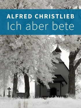 Alfred Christlieb Ich aber bete обложка книги