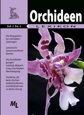 Неизвестный Автор Orchideen - Mini-Lexikon обложка книги