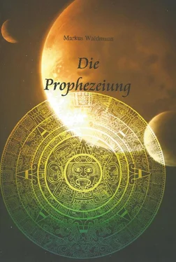 Markus Waldmann Die Prophezeiung обложка книги