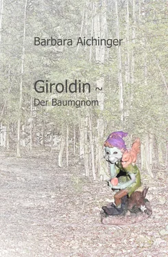 Barbara Aichinger Giroldin ~ Der Baumgnom обложка книги