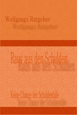 Wolfgangs Ratgeber Raus aus den Schulden обложка книги
