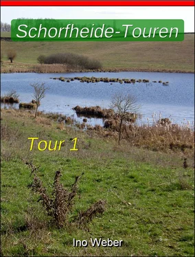 Ino Weber Schorfheide-Touren, Tour 1 - Wanderung bei Werbellin обложка книги