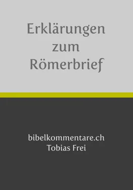 Tobias Frei Tobias Frei – Erklärungen zum Römerbrief обложка книги