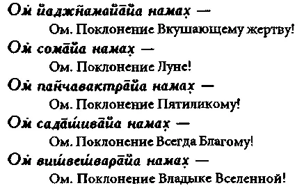 Господь Шива и Его почитание - фото 70