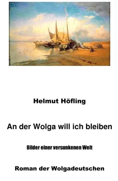 Helmut Höfling An der Wolga will ich bleiben обложка книги