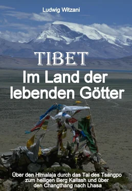 Ludwig Witzani Tibet – Im Land der lebenden Götter обложка книги