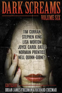 Brian Freeman Dark Screams: Volume Six обложка книги