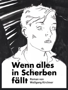 Wolfgang Kirchner Wenn alles in Scherben fällt обложка книги