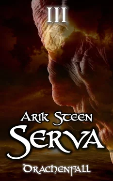 Arik Steen Serva III обложка книги