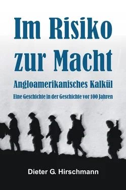 Dieter Hirschmann Im Risiko zur Macht? обложка книги