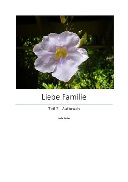 Linda Fischer Liebe Familie 7 обложка книги