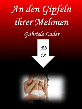 Gabriele Luder An den Gipfeln ihrer Melonen обложка книги