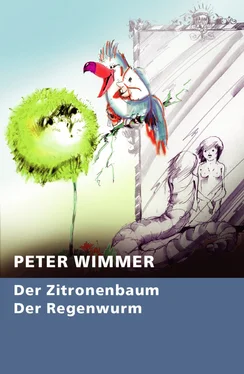 Peter Wimmer Der Zitronenbaum - Der Regenwurm обложка книги