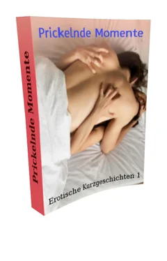 Nora Tschauner Prickelnde Momente 1 обложка книги