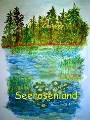 J.-C. Caissen - Seerosenland