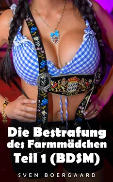 Sven Boergaard Die Bestrafung des Farmmädchen - Teil 1 (BDSM) обложка книги