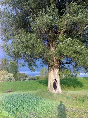 Karin Lorke-Acker - Eine Elfe namens Irrmeli