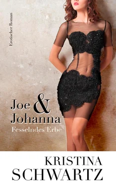 Kristina Schwartz Joe & Johanna обложка книги