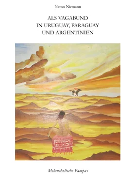 Nemo Niemann Als Vagabund in Uruguay, Paraguay und Argentinien обложка книги