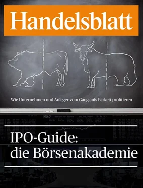 Handelsblatt GmbH IPO-Guide: die Börsenakademie обложка книги