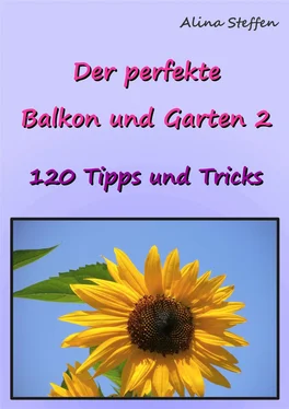 Alina Steffen Der perfekte Balkon und Garten 2 обложка книги