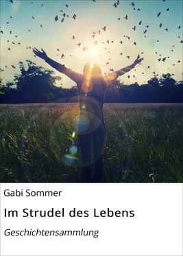 Gabi Sommer Im Strudel des Lebens обложка книги