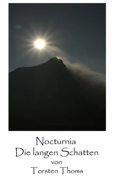 Torsten Thoms Nocturnia - Die langen Schatten обложка книги