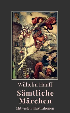 Wilhelm Hauff Wilhelm Hauff - Sämtliche Märchen обложка книги