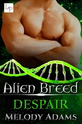 Melody Adams - Despair