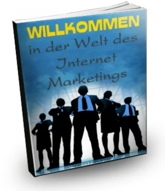 Christian Gleißner Willkommen in der Welt des Internet Marketings обложка книги