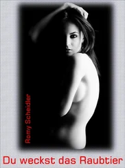 Romy Scheidler - Du weckst das Raubtier