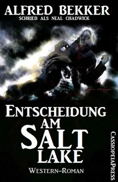 Alfred Bekker Entscheidung am Salt Lake обложка книги