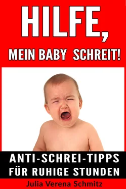 Julia Verena Schmitz Hilfe, mein Baby schreit! обложка книги