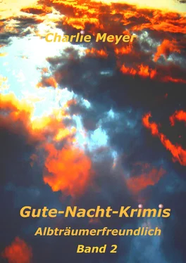 Charlie Meyer Gute-Nacht-Krimis обложка книги