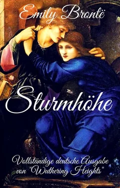 Emily Bronte Emily Brontë: Sturmhöhe. Vollständige deutsche Ausgabe von Wuthering Heights обложка книги