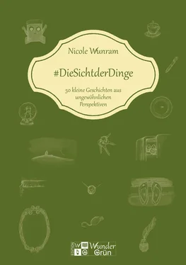 Nicole Wunram #DieSichtderDinge обложка книги