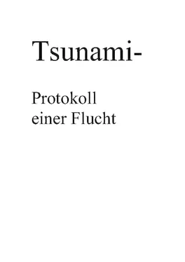 Klaus Hönn Tsunami- Protokoll einer Flucht обложка книги