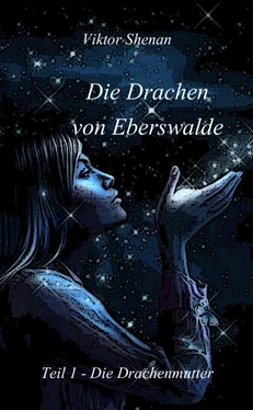 Viktor Shenan Die Drachen von Eberswalde Teil 1 - Die Drachenmutter обложка книги