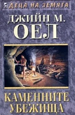 Джийн Оел Каменните убежища обложка книги